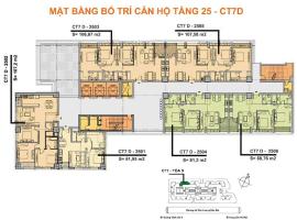 CT7D(TANG 25)